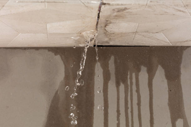 Professional Flood Damage Cleanup technician working in Cokato, MN